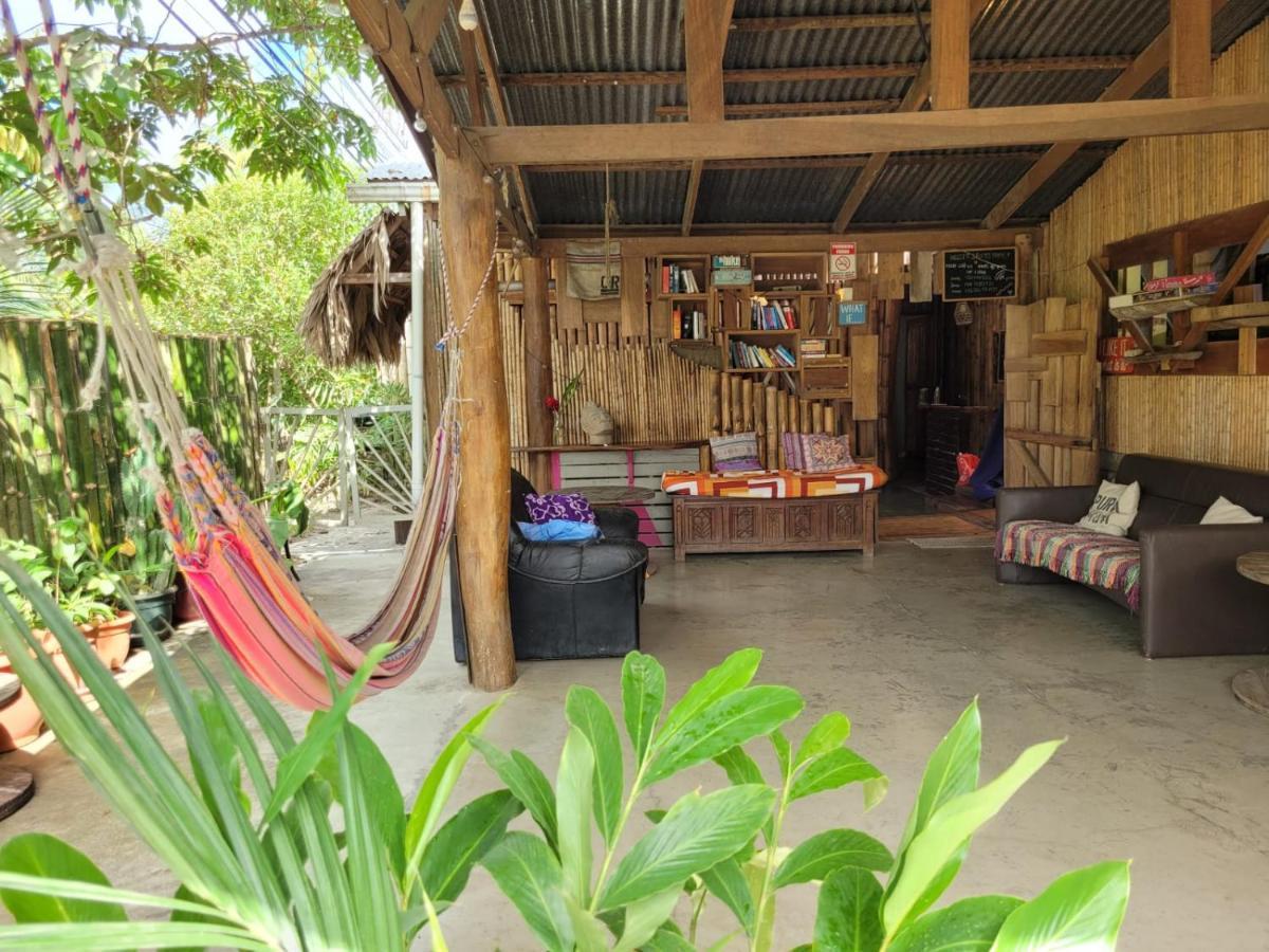 Auberge de jeunesse Roots Family à Puerto Viejo de Talamanca Extérieur photo
