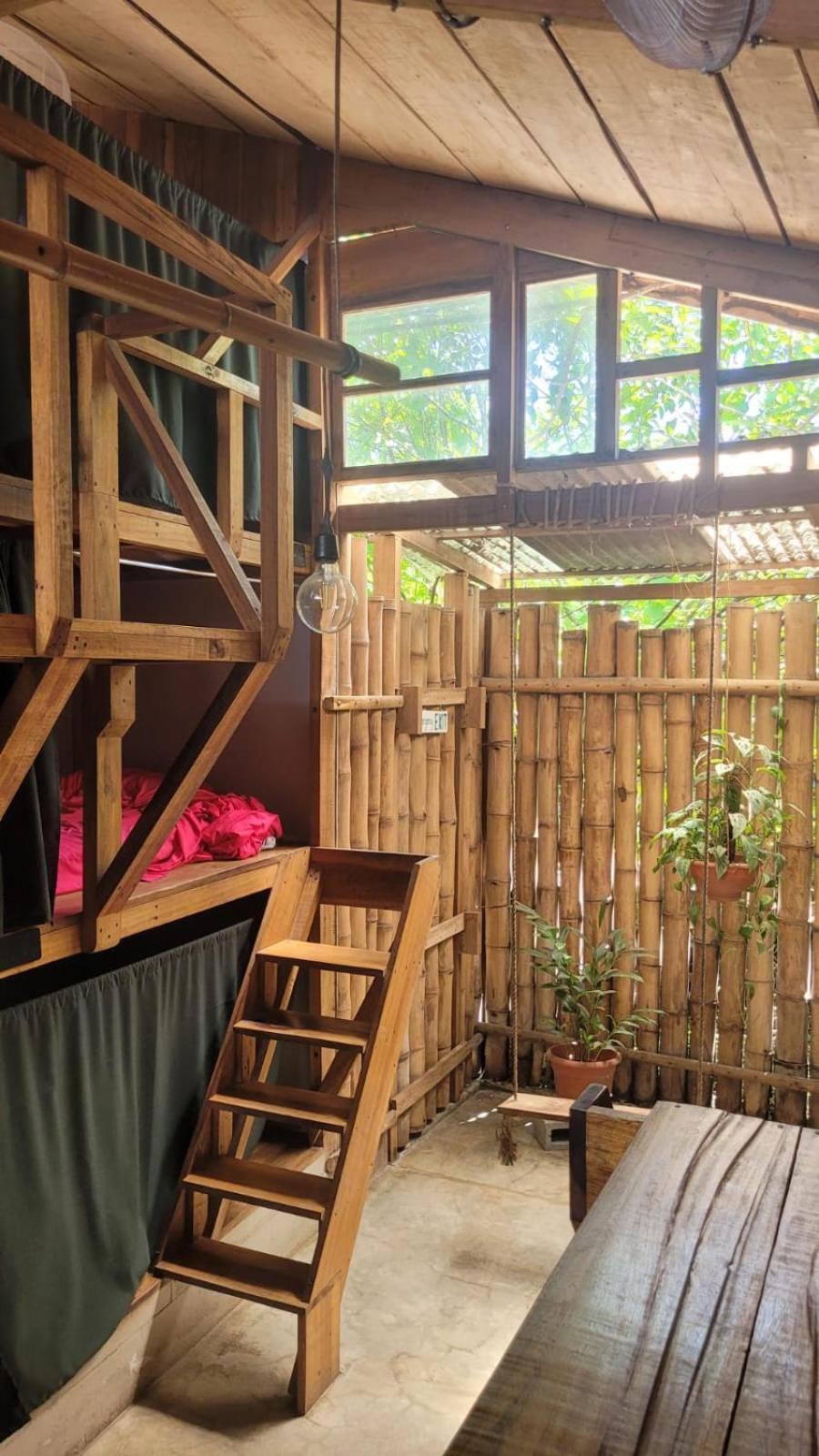 Auberge de jeunesse Roots Family à Puerto Viejo de Talamanca Extérieur photo