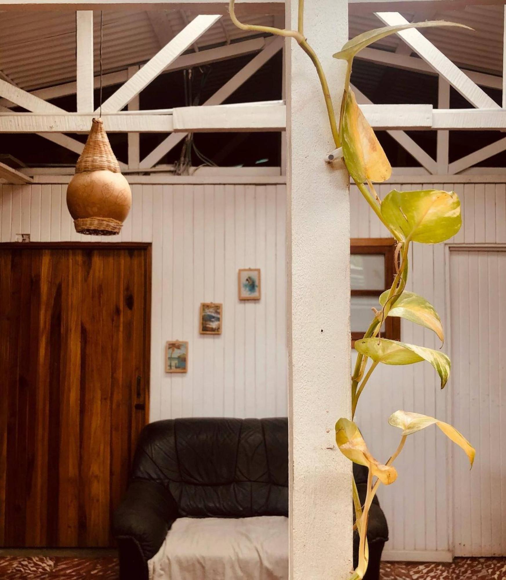 Auberge de jeunesse Roots Family à Puerto Viejo de Talamanca Extérieur photo